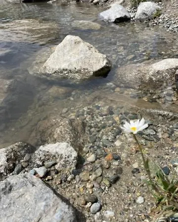 Le 1954 La Rosiere Montvalezan
